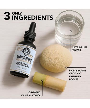 Lion's Mane Extract Mushroom Tincture - Focus Memory & Clarity Support - 2 oz Lion s Mane Supplement Liquid Extract | Dual-Extracted from USA-Grown Fruiting Bodies Mushroom Drops Nootropic 2 Ounce (Pack of 1) - Buy Online on GoSupps.com