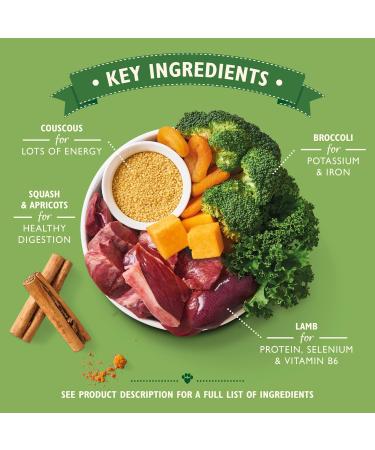 Lilys Kitchen Grain-Free Lamb Tajine Wet Dog Food - 6 x 400g Cans | Natural Adult Dog Food | International Shipping - Buy Online on GoSupps.com