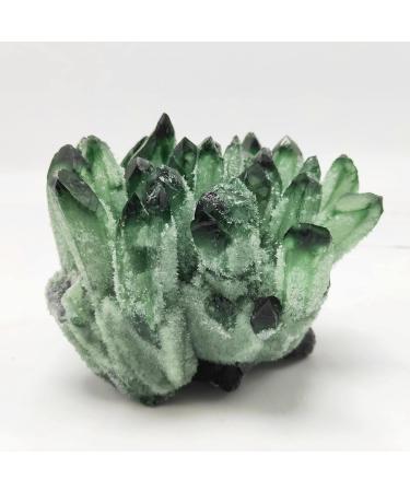 Gift Natural Crystal Reiki Green Quartz Crystal Cluster Natural Gemstones for Home Decor ZJGIDTEM (Size : 300-350g) - Buy Online on GoSupps.com