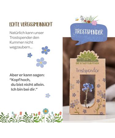City Gardeners Trostspender: Forget-Me-Not Glass Gift | Handmade Consolation for Friends Teachers & Encouragement | Unique Farewell Gift from Germany - Buy Online on GoSupps.com
