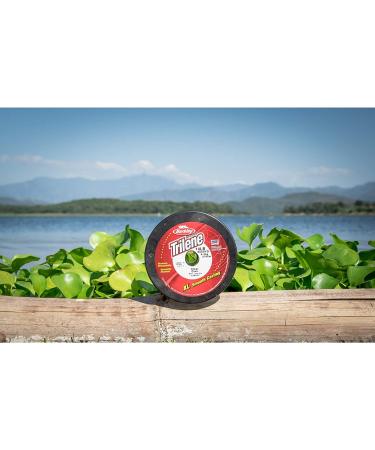 Berkley Trilene XL Smooth Casting Monofilament Service Spools (XLPS4-26) - 110 Yd, 4 lb Test, Clear/Blue - Buy Online on GoSupps.com