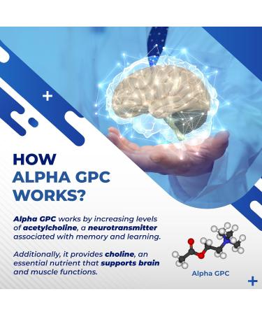 High Potency Alpha GPC with Vitamin B12 L-Theanine Phosphatidylserine Magnesium Bacopa Monnieri Ginkgo Biloba Supports Brain Health Energy & Focus Made in The USA 150 count (pack of 1) - Buy Online on GoSupps.com