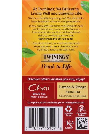 Twinings Spiced Apple Chai Individually Wrapped Black Tea Bags | Caffeinated Sweet & Savoury Apple Cinnamon Cardamom Cloves & Ginger | 20 Count (Pack of 6) | Enjoy Hot or Iced Spiced Apple Chai 20 Count (Pack of 6) - Buy Online on GoSupps.com
