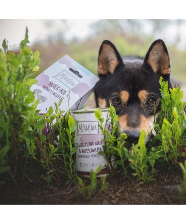 Mjamjam Premium Wet Dog Food (6 x 200g) - Delicious Beef with Cooked Potatoes & Crispy Peas Deer & Wild Boar | International Shipping Available - Buy Online on GoSupps.com