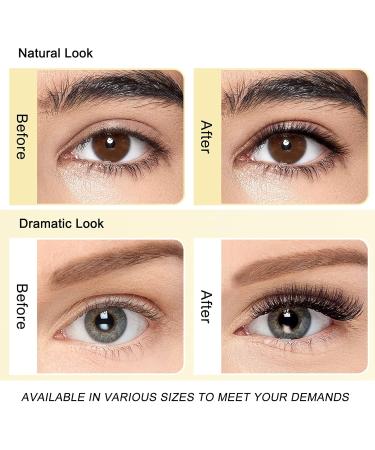 Classic Eyelash Extensions 0.03 D 15mm - C/D Curl Single & Mixed Lengths by QUEWEL - International Shipping Available - Buy Online on GoSupps.com