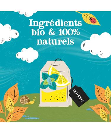 CLIPPER - Organic Infusion - Dream Size - Mate Lemon Mint - 20 Infusion Bags - 1 pack - Buy Online on GoSupps.com