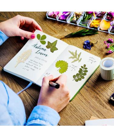 TimTin 84 Pieces Dried Leaves and Flowers Resin Craft Kit - Assorted Greenery for DIY Handmade Bookmarks - Vivid Style - Buy Online on GoSupps.com