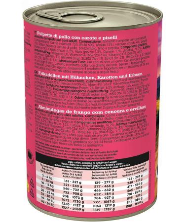ARQUIVET Fresh Chicken Meatballs - Chicken Meatballs with Carrots and Peas - Pack of 6 units X 400g - Complete Food for All Types of Dog Breeds - Buy Online on GoSupps.com