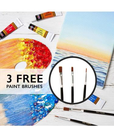 Acrylic Paint Set 24 Colors (0.41oz/12ml) Kit for Artists & Beginners - Non-Toxic Craft Paints for Paper, Canvas, Wood, Ceramic, Fabric - Includes 3 Brushes - Buy Online on GoSupps.com