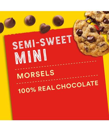 Nestle Toll House 10 oz Semi-Sweet Chocolate Mini Chips - Rich & Delicious - Buy Online on GoSupps.com
