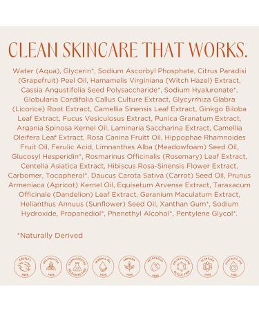 InstaNatural Vitamin C Face Serum with Hyaluronic Acid & Ferulic Acid | Brightening & Hydrating Formula for Radiant Smooth-Looking Skin - 2 FL Oz Vitamin C Serum - Buy Online on GoSupps.com