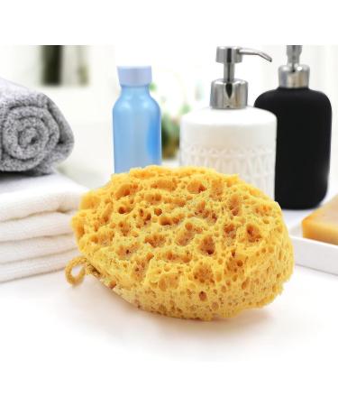 myHomeBody Premium Bath Sponge - Foam Loofah Large Oval Body Sponge for Shower (Pack of 3) | Luxurious Foam & International Shipping - Buy Online on GoSupps.com