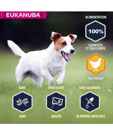 Eukanuba Dog Dry Food Jack Russell Chicken 2kg - Buy Online on GoSupps.com