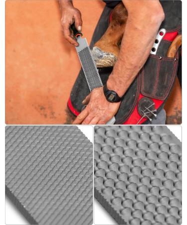 QWORK 5-pc Painting Farrier Kit | Professional Horseshoe Changing Tools | Hoof Knife Tongs Grater & Hammer for Equine Care - Buy Online on GoSupps.com