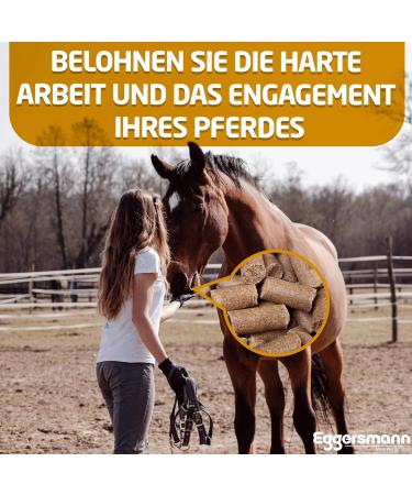 Eggersmann Lecker Bricks Raspberry - Premium Horse Treats for Horses & Ponies | 1 kg Bag - Buy Online on GoSupps.com