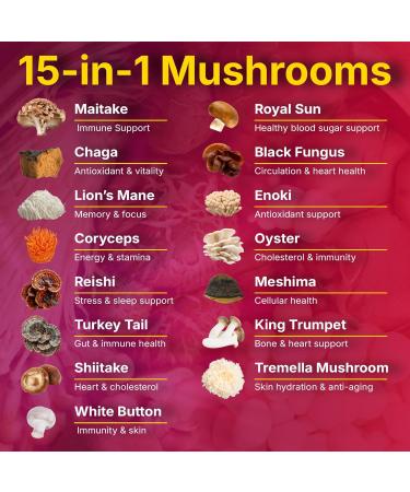 Yi Nutrition 15-in-1 Sugar-Free Mushroom Complex Gummies 10:1 Extract - Lion's Mane Cordyceps Chaga Reishi Turkey Tail Tremella & More for Memory Focus Immunity - 90 Wild Berry Gummies - Buy Online on GoSupps.com