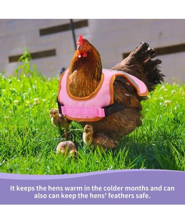 Vehipa 3 Pcs Reflective Chicken Vest Set - Adjustable Harness for Poultry - Feather Protection for Hen, Geese, Duck - Buy Online on GoSupps.com