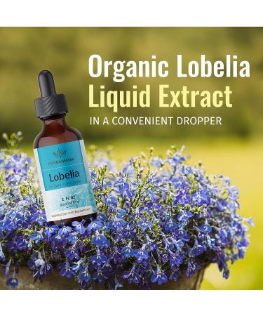 HERBAMAMA Organic Lobelia Tincture - Alcohol-Free Vegan Liquid Drops - 2 fl oz Supplement - Buy Online on GoSupps.com