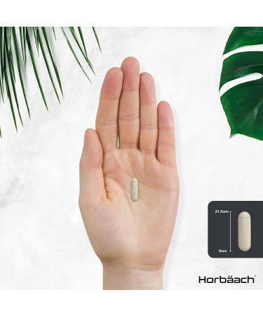 Psyllium Husk Capsules | 120 Count | Cleanliness Vegan Fibre Supplement for Men | Complex with Cinnamon Flaxseed and Fenugreek Seed | by Horbaach - Buy Online on GoSupps.com