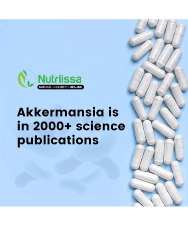 Akkermansia Probiotic Softgels - 200 Million AFU - Gut Health Support - 120 Count - Buy Online on GoSupps.com