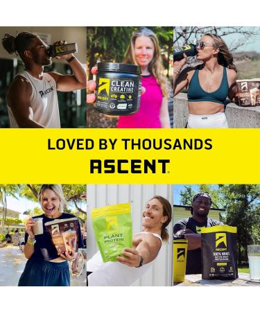 Ascent Iced Coffee Protein Powder - High Protein Coffee Powder 20 g Protein & 100 mg Caffeine - 30 Servings Iced Coffee 1.75 Pound (Pack of 1) - Buy Online on GoSupps.com