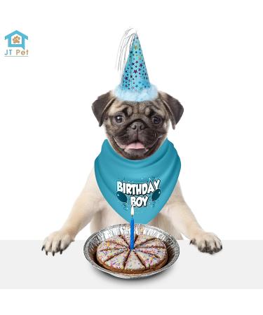 JT PET Dog Birthday Boy Party Pack: Bandana, Star Spangled Hat, Vegan Pie - Large Boy Dog - Buy Online on GoSupps.com