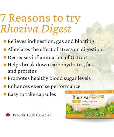 Rhoziva Digest. Gut Health Supplement with Digestive Enzymes for Women and Men. Supports Healthy Digestion Reflux Bloating. 60 Capsules - Buy Online on GoSupps.com