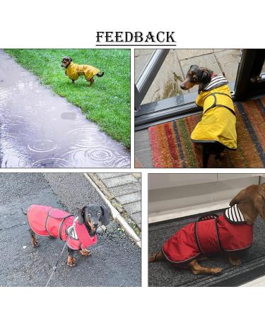 Dachshund Raincoat Waterproof with Reflective Trim - Pink, S Small (14-15 in) - Dog Rain Gear for Autumn/Winter - Buy Online on GoSupps.com