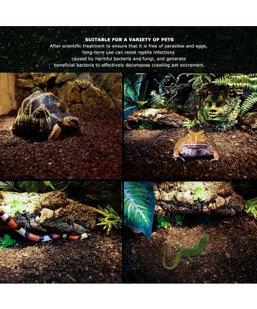 Soil 4L Reptiles Pet Feeding Soil Potting Soil Portable for Reptiles Box for Amphibian Pets - Buy Online on GoSupps.com