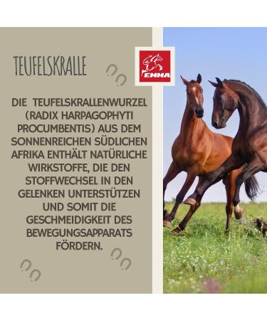 Devil's Claw Horse + Willow Bark Horse - First Aid Horse Joints - Devil's Claw + Equi P Booster - Glucosamine Locomotor System Support Horse - Tendons Ligaments 1L 30ml - Buy Online on GoSupps.com