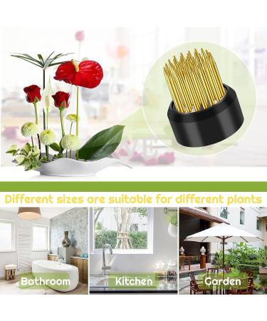 6-Piece Flower Frogs Assortment for Vase Arrangement and Plant Fixation - 0.91, 1.02, 1.3 Sizes - Buy Online on GoSupps.com