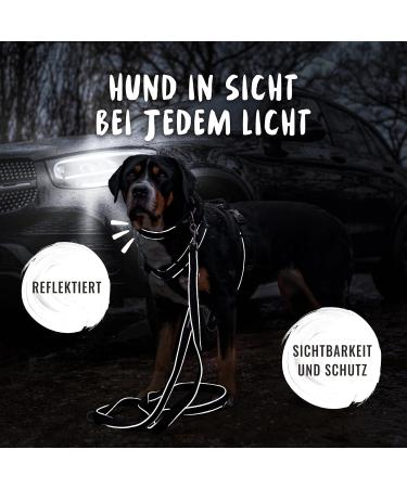 Rudelknig Paola Dog Collar - Adjustable Reflective Nylon Collar for Medium & Large Dogs (Black Size 5: 45-50cm) - Buy Online on GoSupps.com