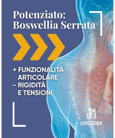  LOGIDEX Fibrinosil - Natural anti-inflammatory supplement for joint and muscle pain with strong devil's claw and bromelain muscle relaxant 20 sachets Made in Italy Logidex - Buy Online on GoSupps.com