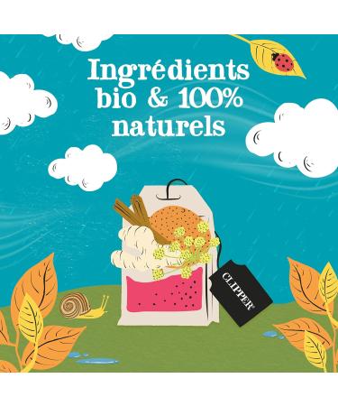 CLIPPER - Organic Infusion - Spices and Love - Cinnamon Ginger & Orange - 20 Organic Infusion Sachets - 1 pack - Buy Online on GoSupps.com