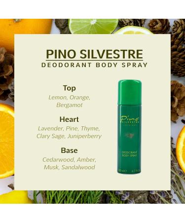 Pino Silvestre Deodorant Body Spray for Men - Long Lasting Sandalwood & Musk Fragrance - 6.7 Oz Cologne - International Shipping Available - Buy Online on GoSupps.com