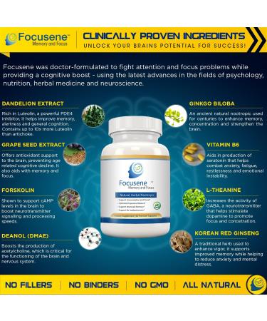 Foocusene: Caffeine-Free Mental Focus Supplement for Brain Enhancement & Energy - 60 Premium Capsules - Buy Online on GoSupps.com