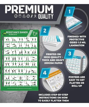 Optimal Home Fitness Studio: 12 Laminated Exercise Posters for Men & Women - Yoga Dumbbells & More - Buy Online on GoSupps.com