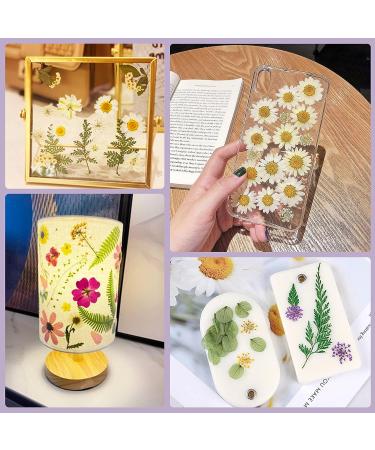 Dried Pressed Flowers 170+ Pcs - Bulk Natural Floral Fillers for Resin Crafts & Jewelry - 5 Color Set - Buy Online on GoSupps.com