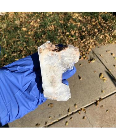 Natural Crystal Rough Decoration 155g Raw Natural Standing Selenite Piece Cut Slab Stone Specimen - Buy Online on GoSupps.com