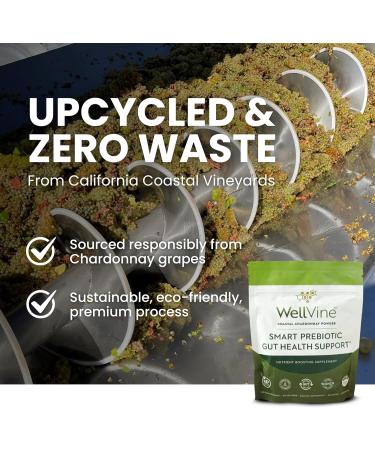 WellVine Premium Smart Prebiotic Gut Health Supplement Powder for Men & Women | Digestive Support & Gut Health With 100% Upcycled Chardonnay Grapes | Plant-Based Gluten and Allergen-Free | 4.75Oz - Buy Online on GoSupps.com