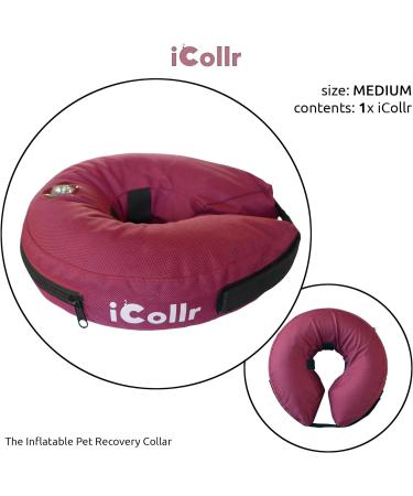 iCollr Inflatable Pet Collar for Cats & Dogs - Medium | Post Surgery Recovery - Buy Online on GoSupps.com