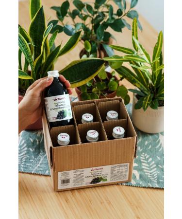 Organic Cold-Pressed Black Currant Juice - Vegan No Sugar No Preservatives - Berries Polska 250ml - Buy Online on GoSupps.com