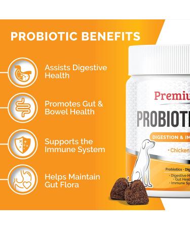 Premium Care Probiotics for Dogs - 120 Chews - Digestive Health Support for Dogs - Buy Online on GoSupps.com