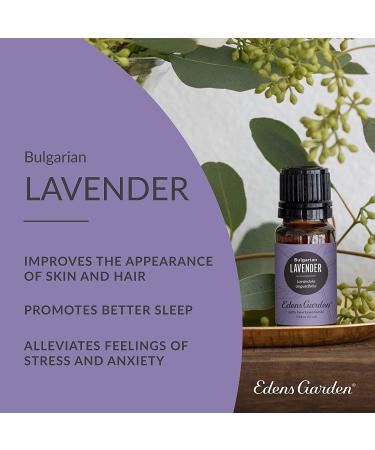 Edens Garden Bulgarian Lavender Essential Oil - 100% Pure Therapeutic Grade, 10ml (0.33 Fl Oz) - Buy Online on GoSupps.com