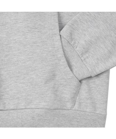 Shop Borussia Dortmund BVB Hoodie Essentials | Grey Basic Pullover S-3XL - International Shipping Available - Buy Online on GoSupps.com