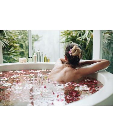 Khaleesi (Mother of Dragons) Extra Large Bath Bomb - Hidden Treasure - Buy Online on GoSupps.com