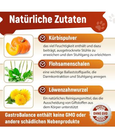 GastroBalance Relief for Constipation in Dogs 60 Soft Chews | Natural Laxative with 100% Active Ingredients Fast International Shipping - Buy Online on GoSupps.com