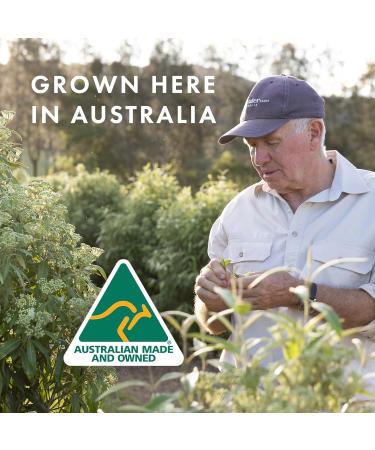 Energizing Castile Bar Soap with Australian Peppermint Oil - Natural Soap for Dry Sensitive Skin - 8-Pack 7 oz - Ideal for Men & Women - Nourishing Essential Oils - Buy Online on GoSupps.com