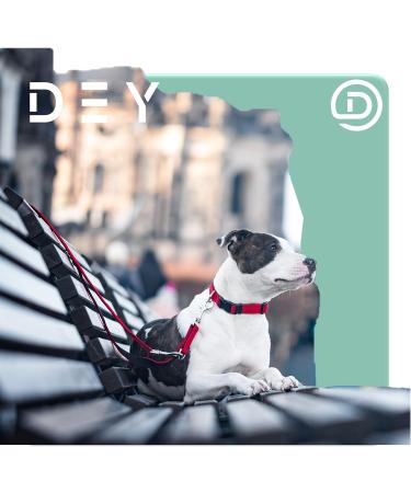 Dey Premium Air Mesh Dog Leash 2m | 3-Way Adjustable | For All Dog Sizes | Multiple Colors | Durable and Stylish | Puppy & Cat Leash | Black M (M/L) - Buy Online on GoSupps.com