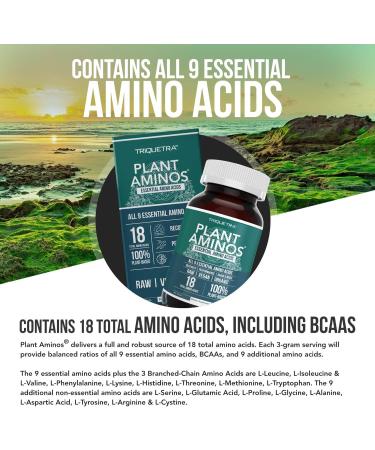 Plant Aminos Organic Essential Amino Acids & BCAA - 100% Vegan - 360 Tablets - Buy Online on GoSupps.com